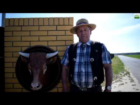 Gospodarstwo Agroturystyczne Kąkolewo