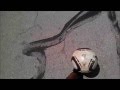 A Soccer Player's Dream