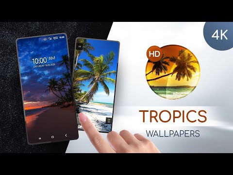 Tropical wallpapers in 4K