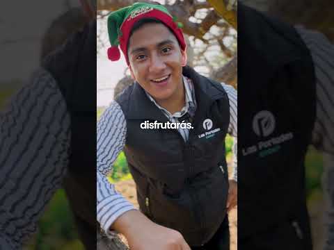 🎄 𝐋𝐀𝐍𝐙𝐀𝐌𝐈𝐄𝐍𝐓𝐎 𝐍𝐀𝐕𝐈𝐃𝐄Ñ𝐎 𝐄𝐍 𝐕𝐀𝐋𝐋𝐄 𝐕𝐄𝐑𝐃𝐄 🎄