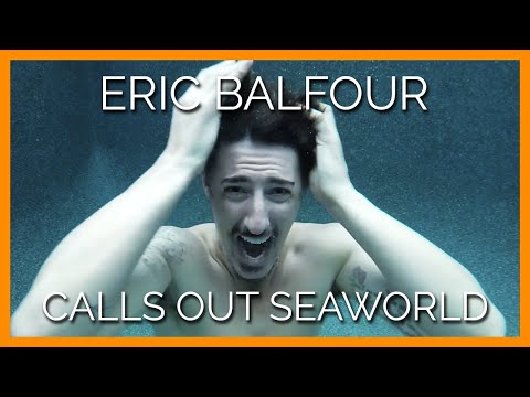 Eric Balfour Calls Out SeaWorld for Using Dolphins As Surfboards
