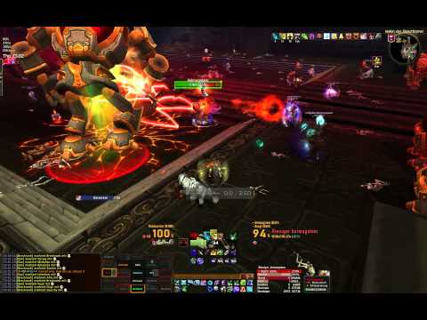 [Hunter PoV] Hostile vs. Dark Animus 25 Normal Firstkill | Unplugged HD