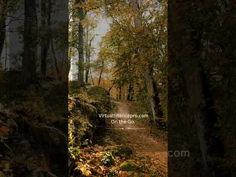 Video 22 thumbnail