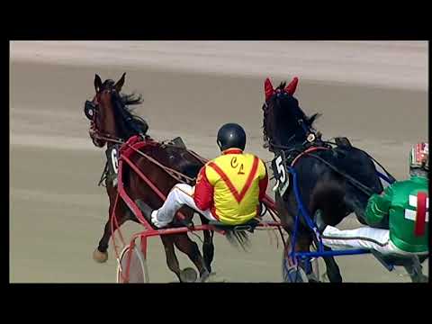 Napoli Trotto 26/020/2021 - 3ª corsa