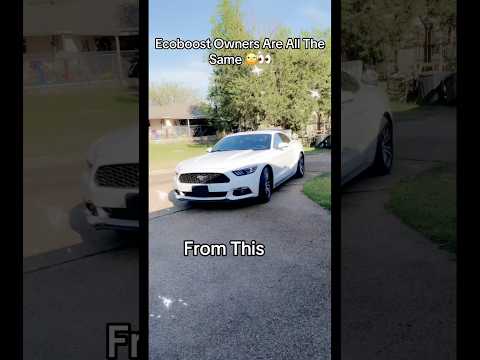 Ecoboost Owners Are All The Same🤦🏻‍♂️🙄 | #s550only | Mustang