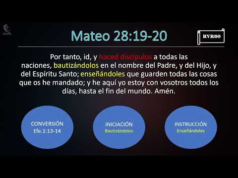 Entendiendo el Discipulado semana 8