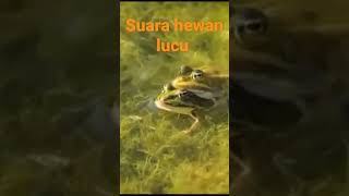 Download lagu suara hewan lucu mp3
