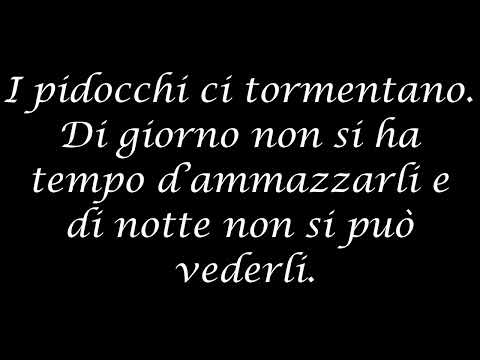 Lettere dal fronte - Lettera di Ettore Inzani Caporal Maggiore Artiglieria - Prima Guerra Mondiale
