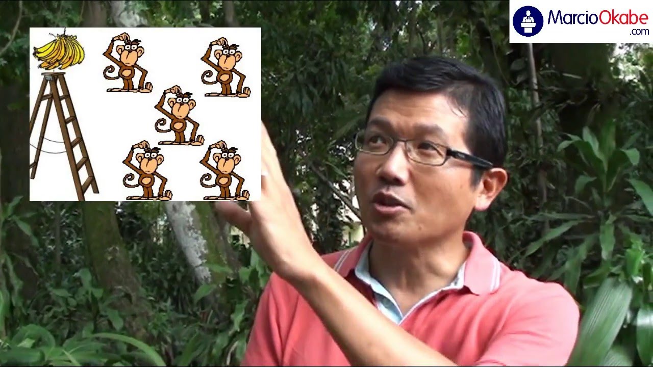 Os Cinco Macacos - Uma reflexão sobre cultura