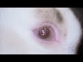Joji - Die For You Joji - Die For You