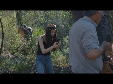 Em Ano de Safra | Time to Gather, by Sofia Bairrão - Trailer