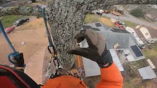 How to remove a tree with ZERO DROP ZONE