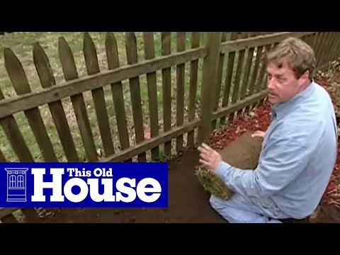 How to Lay Sod | This Old House