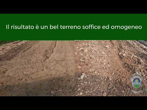 La preparazione del terreno per il trapianto