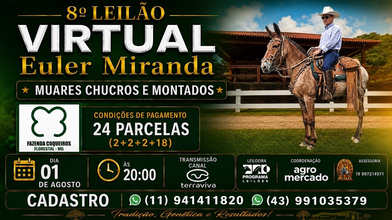 8º LEILÃO VIRTUAL EULER MIRANDA - MUARES CHUCROS E MONTADOS - FLORESTAL/MG - 01/08/2026