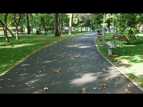 Sony Xperia 5 IV, Video Sample (Stabilisation)