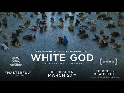 White God (2014) Official Trailer