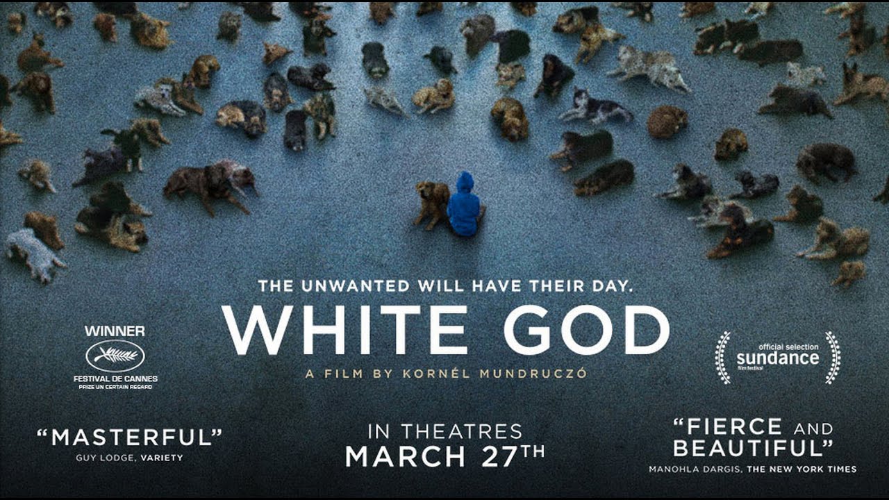 White God / Fehér Isten