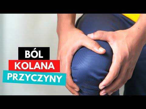 Fenotropil co bodybuilding Jak podkręcić mięśnie pompki