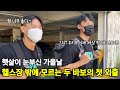 헬스밖에 모르는 두 바보의 첫 가을소풍 #헬창 #데이트 #대흉근먹방