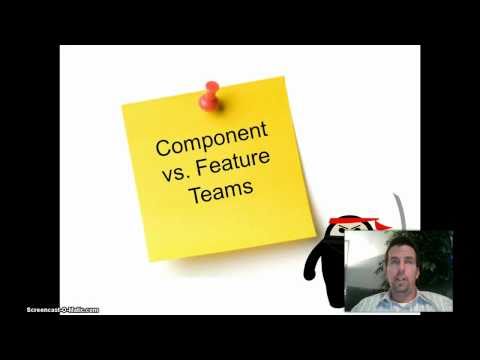 Component vs Feature Agile Teams