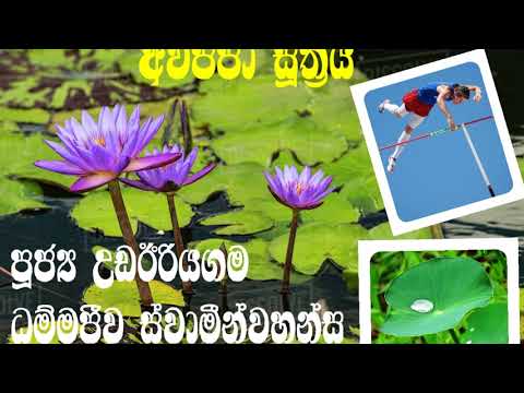 Avijja Sutta-Most Ven U Dhammajiva  Thero