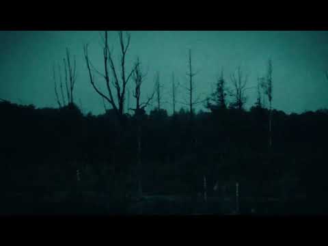 d2s1 - please help me