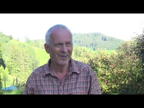 Ausgleichende Gerechtigkeit ... gibt es diese für Dich?