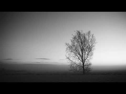 Ashes, cover by Susanne Ljunggren