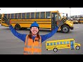 Handyman Hal Learns About School Bus School Bus For Kids