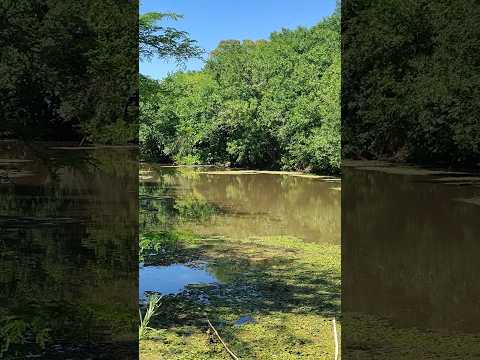Remanso de Arroyo San Luis en Coronel Brandsen Buenos Aires Argentina