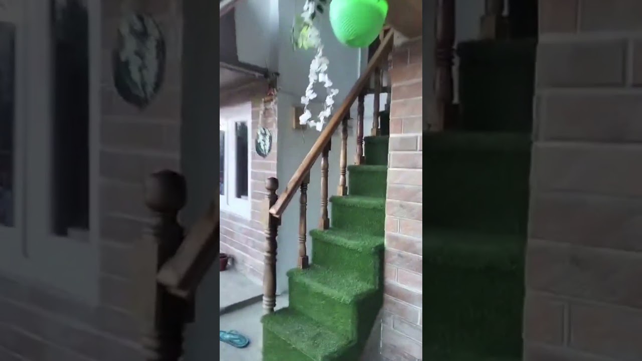 Travel Vlog 3