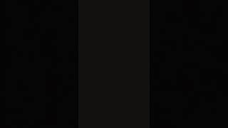 I AM by Jill Phillips