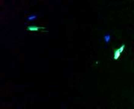 Fantazia 2007 Stu Allan