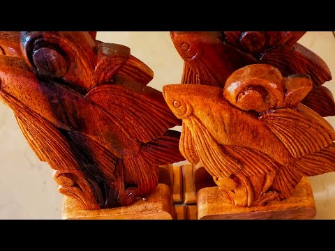 2nd Danio Fish Community Nationwide Longfin/Butterfly Danio Online Show Winners 2022