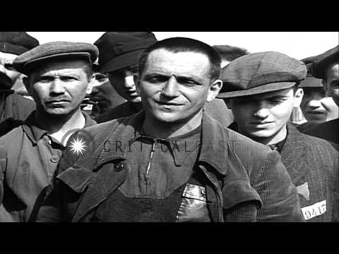 German Jewish internee Otto Feuer of Buchenwald Concentration Camp is interviewed...HD Stock Footage