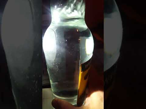 download lagu mp3 mp4 Stuff Floating In Rum, download lagu Stuff Floating In Rum gratis, unduh video klip Stuff Floating In Rum