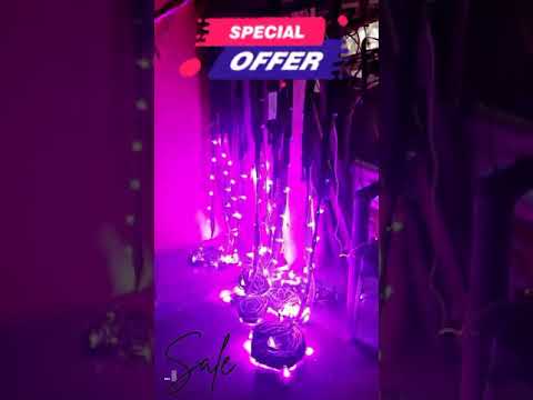 Pixel LED Lights