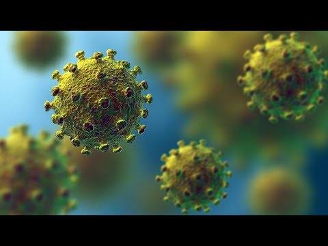 瞭解冠狀病毒的真相 (Get the facts on coronavirus)