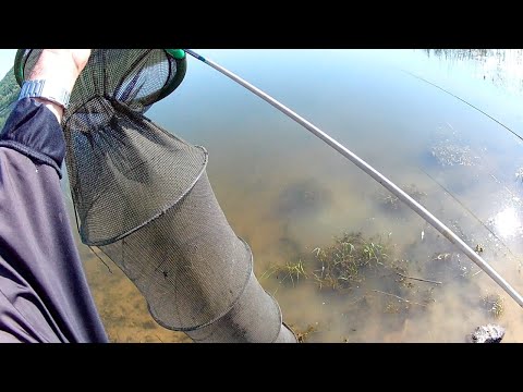 KONACNO LEP MAJSKI DAN  ZA RIBOLOV - 4k video