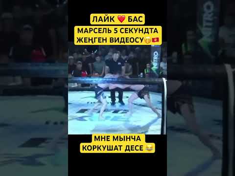 ОШОГО БОКС ДЕШЕТ ЭКЕН ДА 😅✊#марсель #бокс#токтар #рек