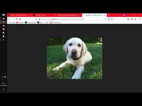 Using APIs with Python - Simple JSON examples | HOXFRAMEWORK