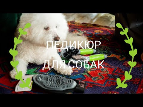 Миниатюра изображения товара Гриндер для когтей Moser 2302-0050