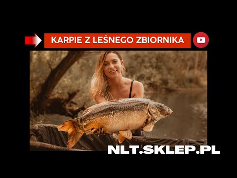 Karpie z leśnej wody - NLT.SKLEP.PL