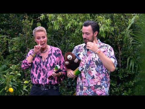 In the jungle camp: Sonja Zietlow cries because of Dirk Bach (†)