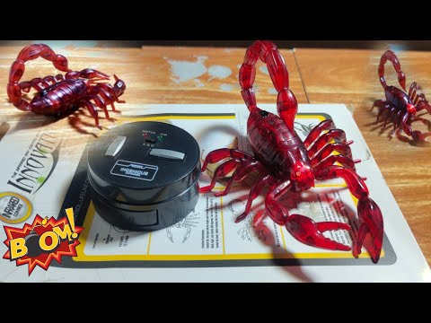 Play RC WOW amazing Rc SCORPION,Remote Control,Radio Rc,Car Rc,RC Unboxing#car #toy #rc unboxing