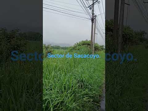 carretera de Sonsonate a San Salvador, sector de Sacacoyo,  la Libertad.