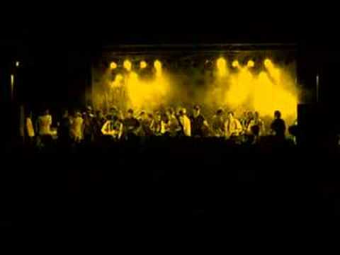 Skandal Spreaders - Skarface go Home (Live)