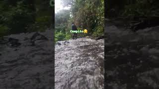 Download lagu El sonido del río da mucha #paz 😊💚 Es lo lindo de vivir o visitar el campo🇪🇨 #ecuador #rural #latam mp3