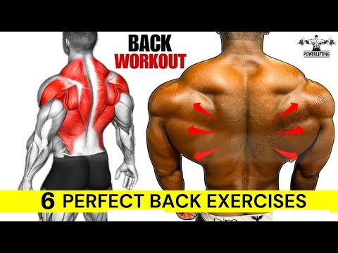 6 Effective Bigger Back Exercises to Build 3d Back at Gym - Back Workout